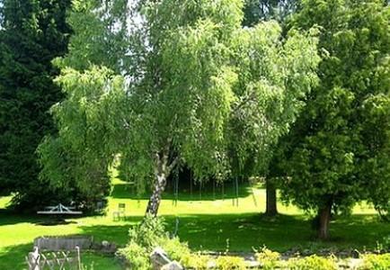 Hotel La Clairiere Chambon-sur-Dolore Екстериор снимка